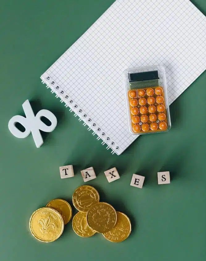 Income Tax Filing Experts